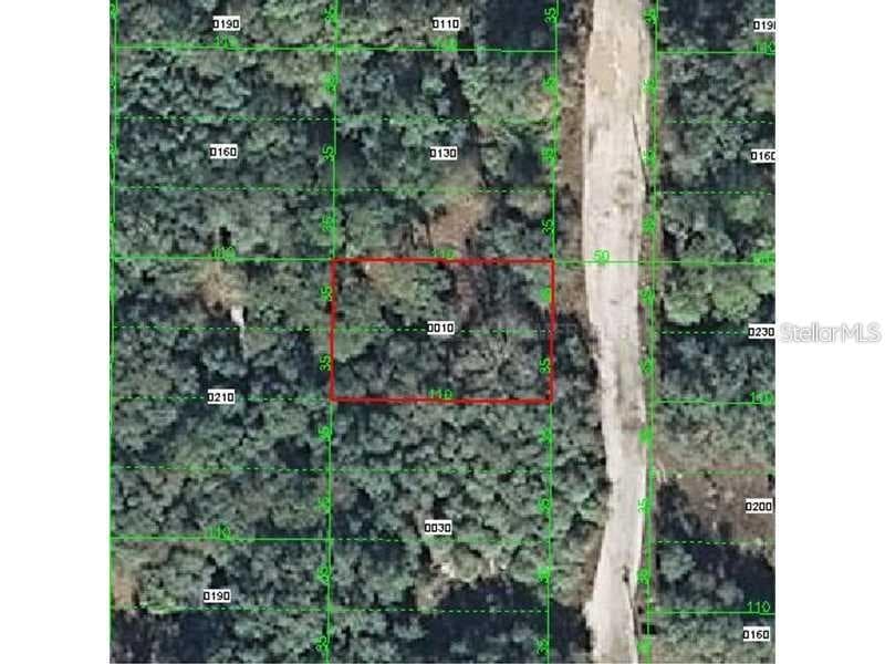 ATLEE STREET NEW PORT RICHEY, FL 34654