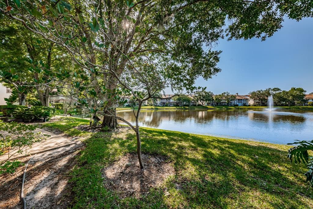 1147 CLAYS TRAIL OLDSMAR, FL 34677