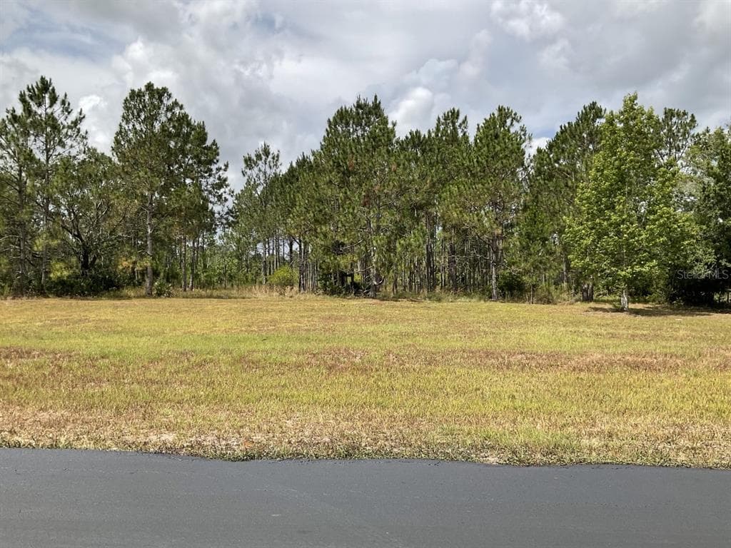 8548 SPRING FOREST LANE WESLEY CHAPEL, FL 33544