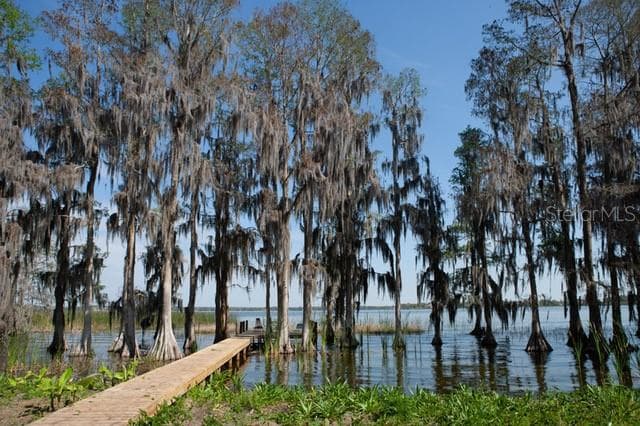 3227 N KINGSWAY ROAD THONOTOSASSA, FL 33592