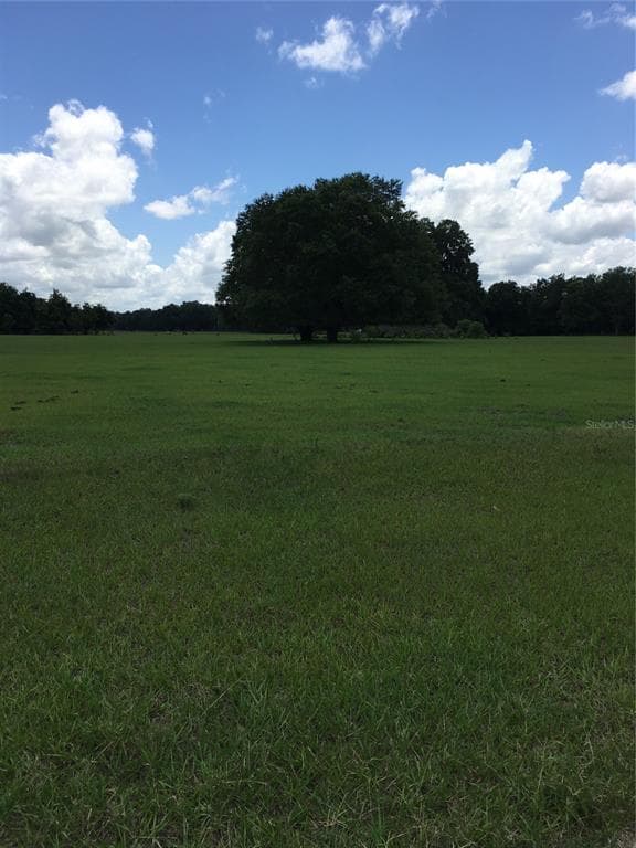 #2 CR 546A BUSHNELL, FL 33513