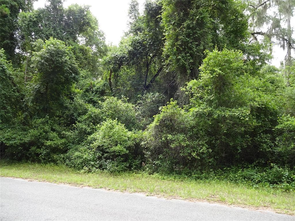 805 E ABEND DRIVE CITRUS SPRINGS, FL 34434