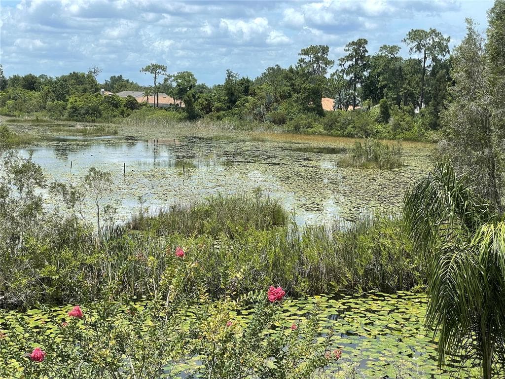 21133 LOS CABOS COURT LAND O LAKES, FL 34637