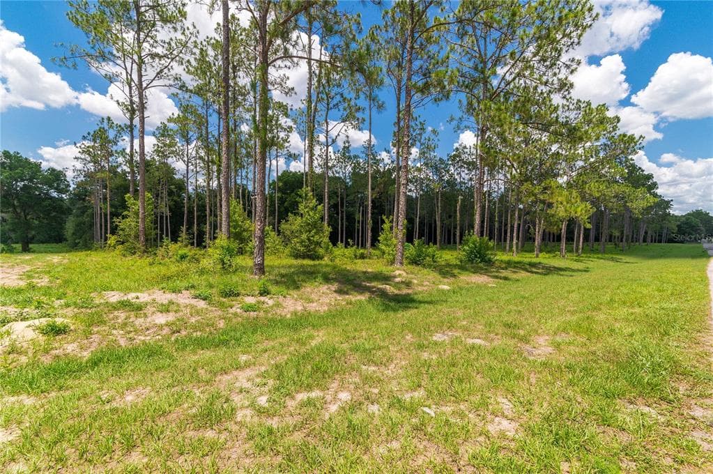 PONY POND ROAD DADE CITY, FL 33523