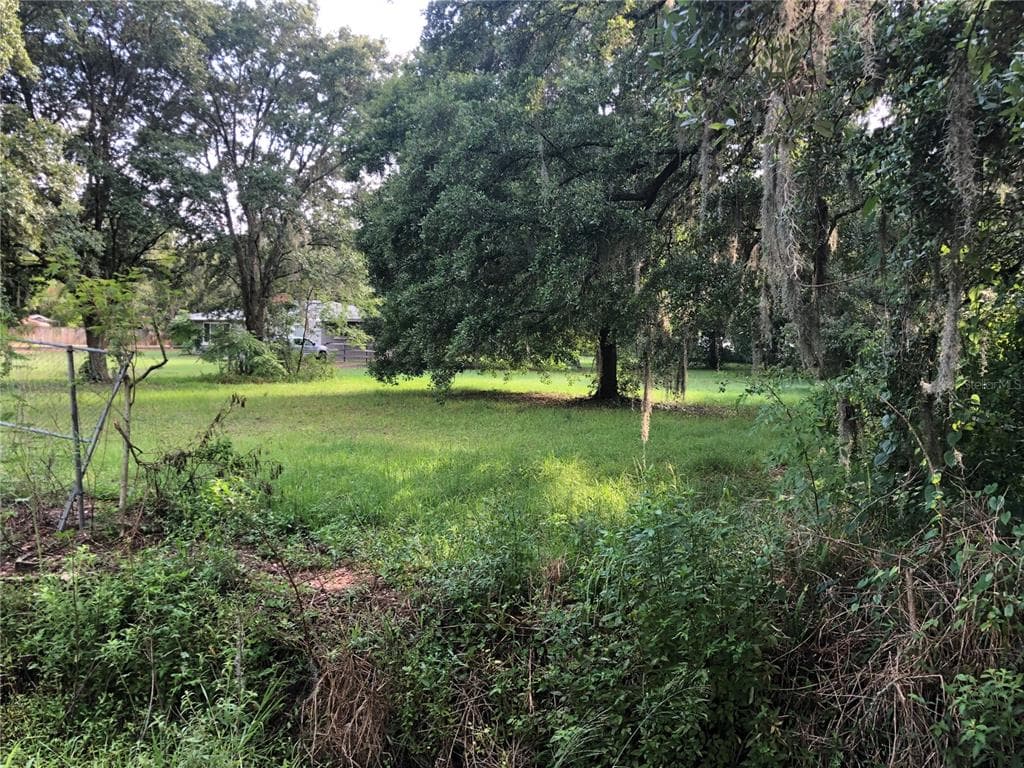 6030 BLACK DAIRY ROAD SEFFNER, FL 33584