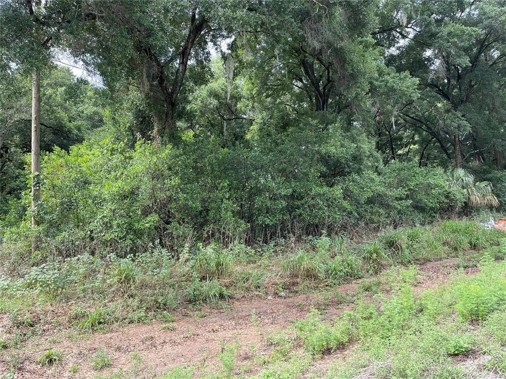 RAILROAD STREET BRANDON, FL 33510