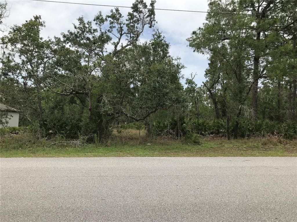 11475 MURRE AVENUE WEEKI WACHEE, FL 34614