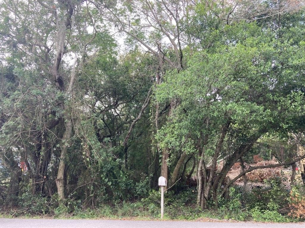 AZALEA AVENUE LAKE WALES, FL 33898