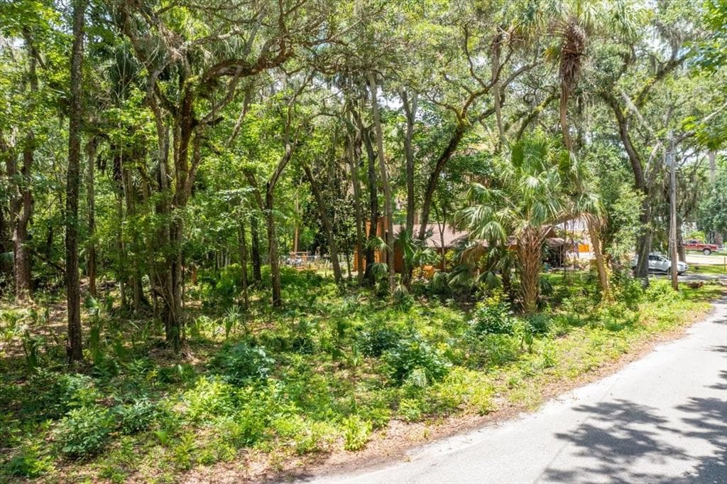 4350 S CONWELL POINT HOMOSASSA, FL 34448