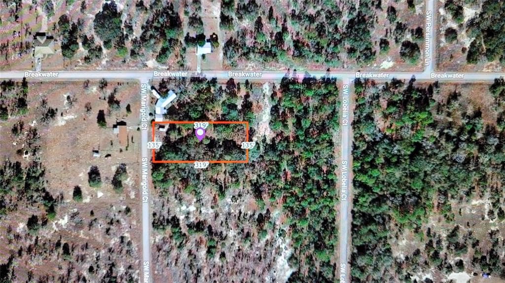 SW MARIGOLD COURT DUNNELLON, FL 34431
