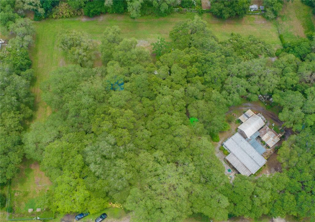 3418 SANDY DRIVE ZEPHYRHILLS, FL 33541