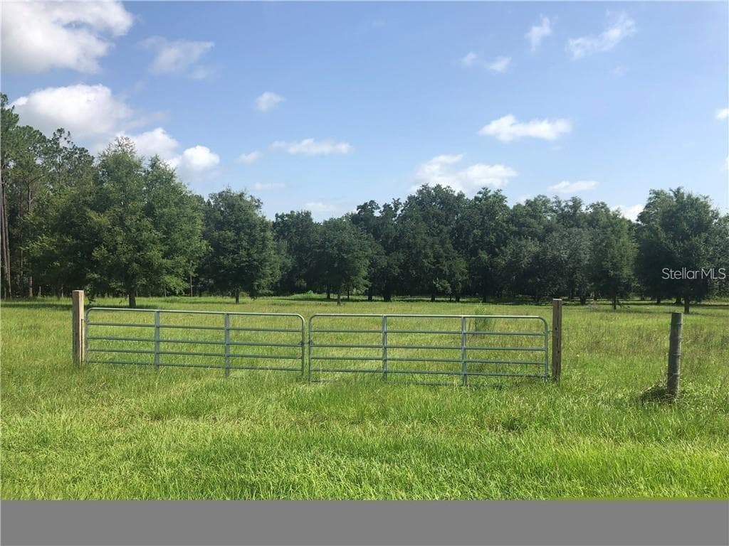 29937 BAYHEAD ROAD DADE CITY, FL 33523