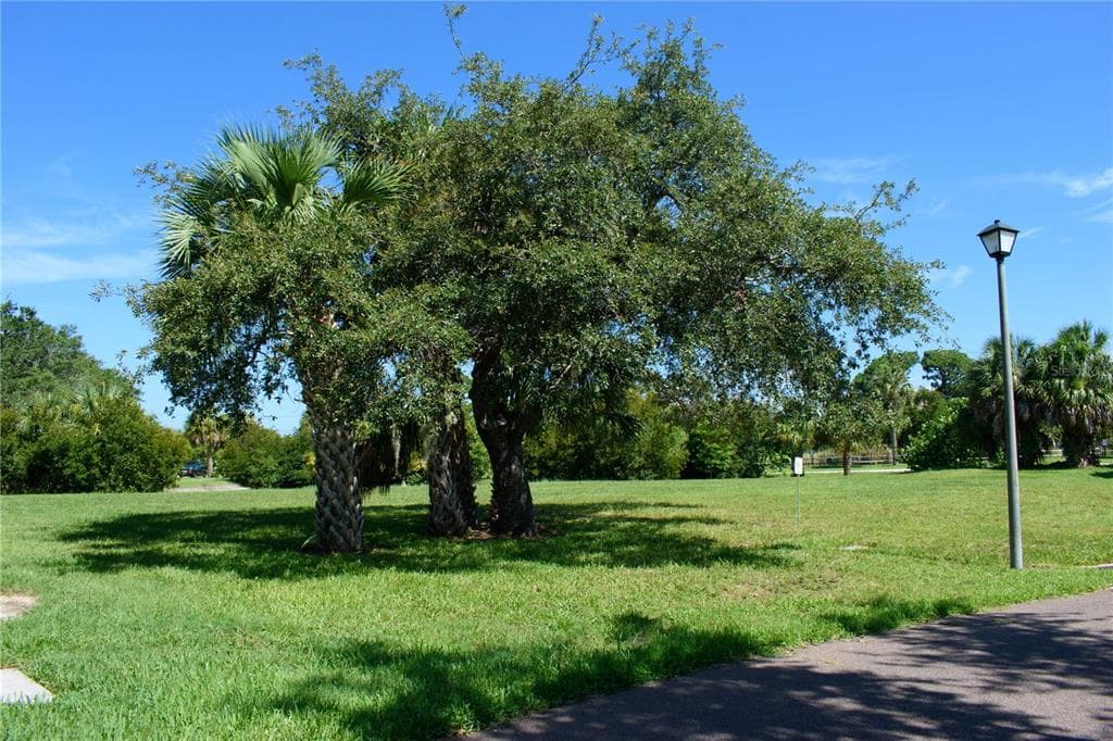 S POINTE ALEXIS DR TARPON SPRINGS, FL 34689