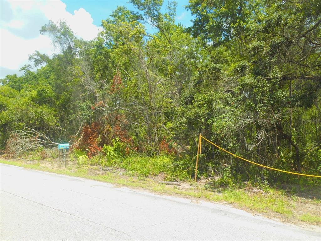 9805 ROYAL PALM AVENUE NEW PORT RICHEY, FL 34654