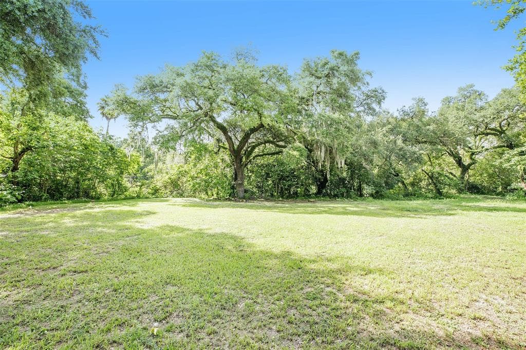 2045 E MULBERRY DRIVE TAMPA, FL 33604
