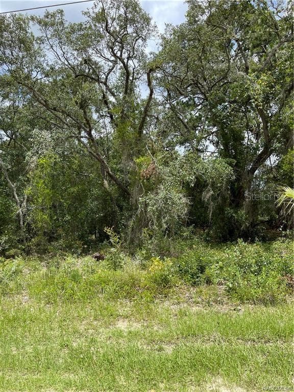 5837 W VIKRE PATH HOMOSASSA, FL 34448
