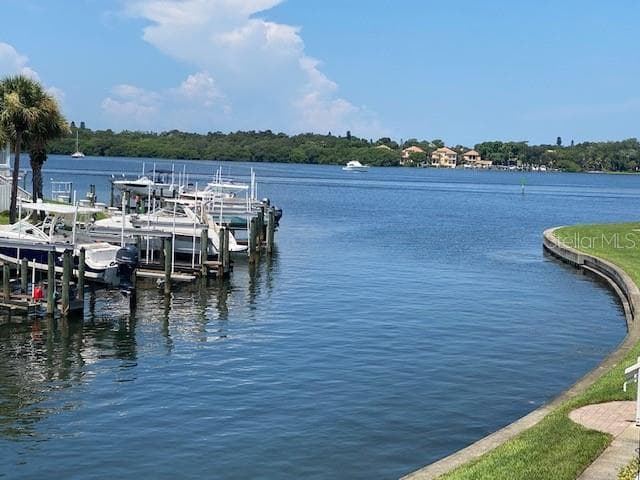 5191 SALMON DRIVE SE UNIT C ST PETERSBURG, FL 33705