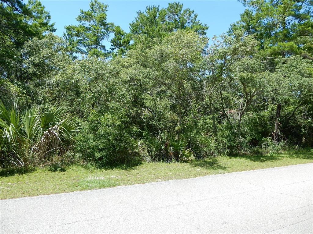 1849 LIGHTHOUSE ROAD CARRABELLE, FL 32322