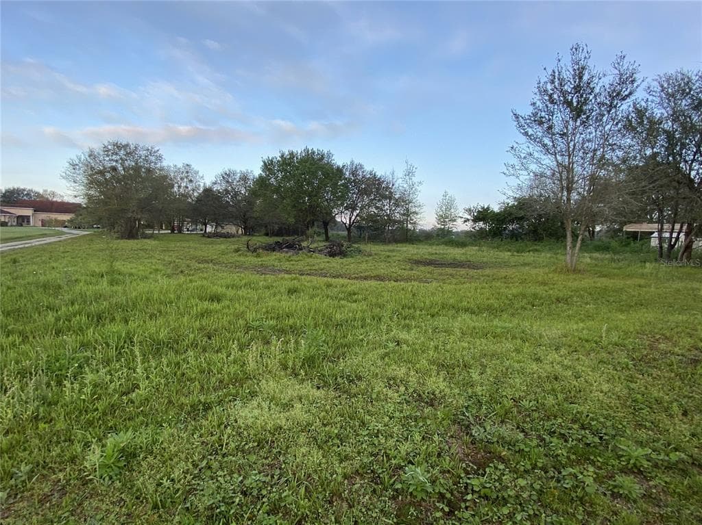 13906 SWEET BLOSSOM COURT DOVER, FL 33527