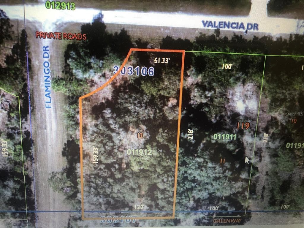 Blk119 Lt12 VALENCIA DRIVE INDIAN LAKE ESTATES, FL 33855