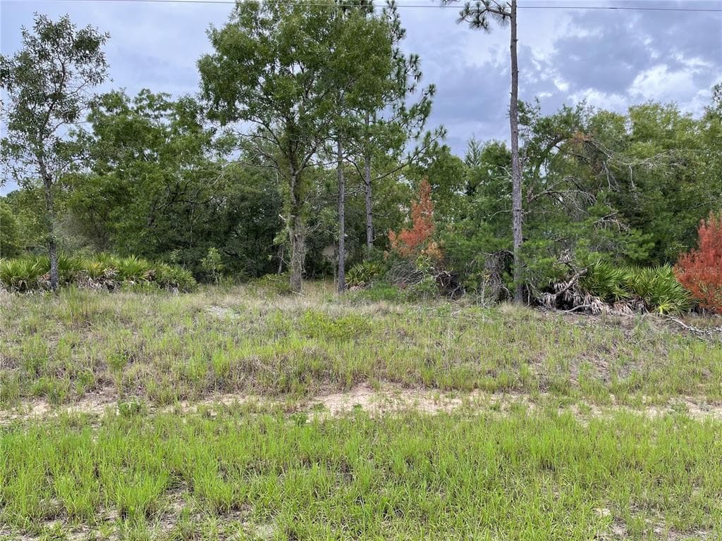 2 COSMOS DRIVE HOMOSASSA, FL 34446