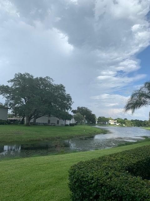 141 LAKESIDE DRIVE UNIT 141 OLDSMAR, FL 34677