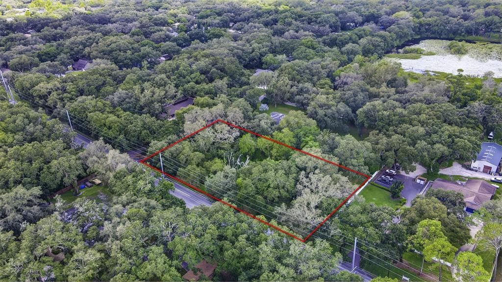 16102 LIVINGSTON AVENUE LUTZ, FL 33549