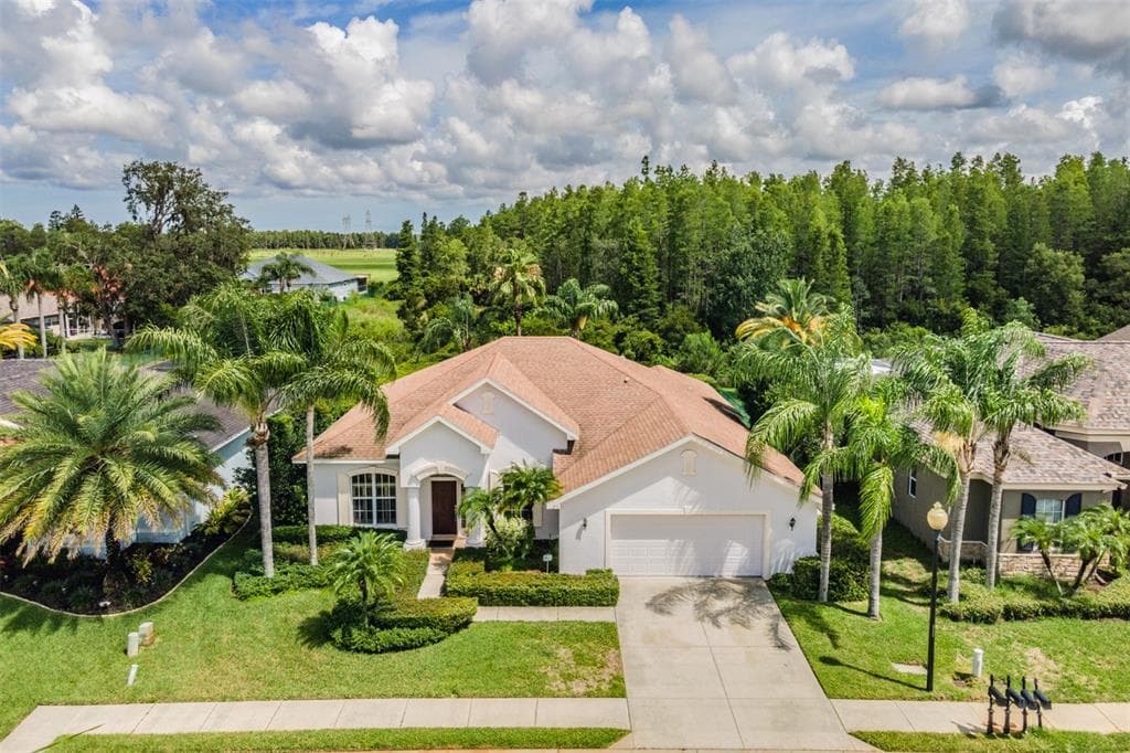 2131 BLUE BEECH COURT TRINITY, FL 34655