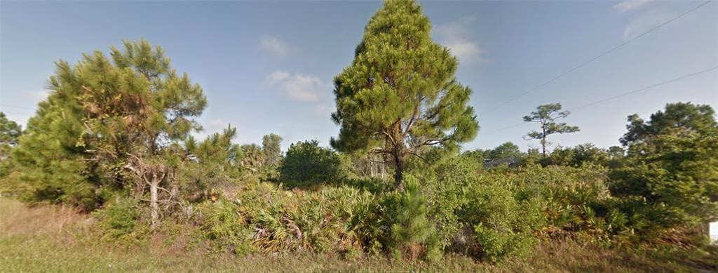 12366 STEEN TERRACE PORT CHARLOTTE, FL 33981