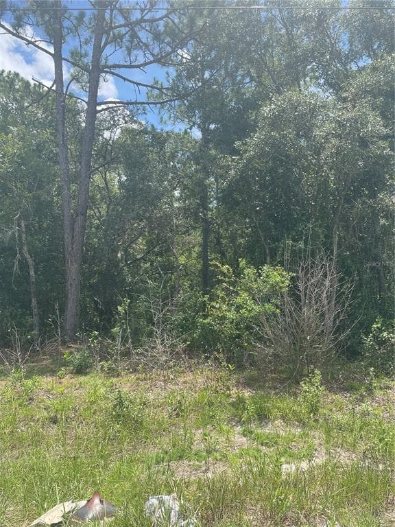 NORMANDEAU SPRING HILL, FL 34610