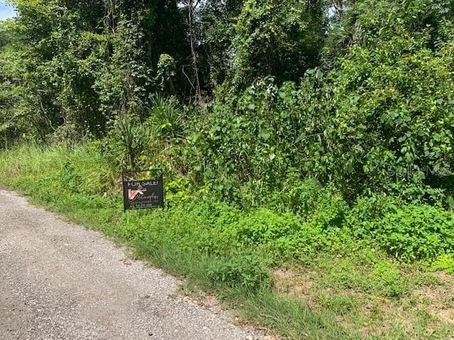 BETHWOOD AVENUE NEW PORT RICHEY, FL 34654