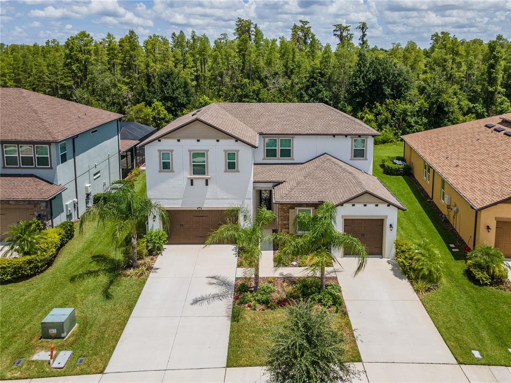 29436 PICANA LANE WESLEY CHAPEL, FL 33543