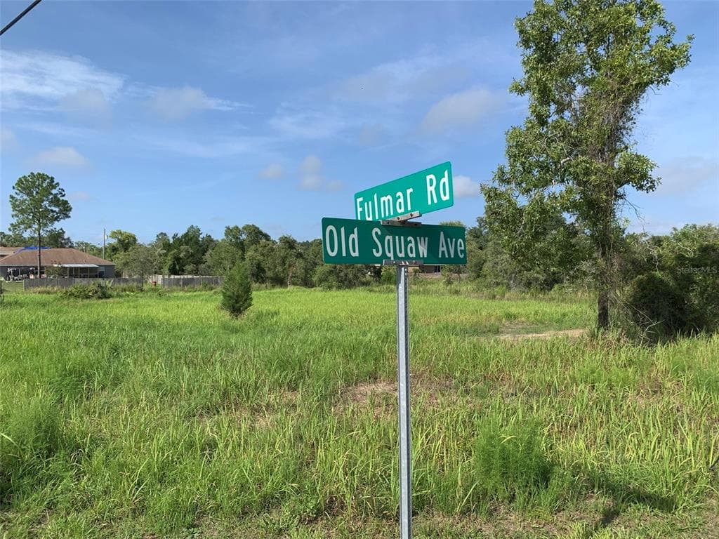 11307 FULMAR ROAD WEEKI WACHEE, FL 34614