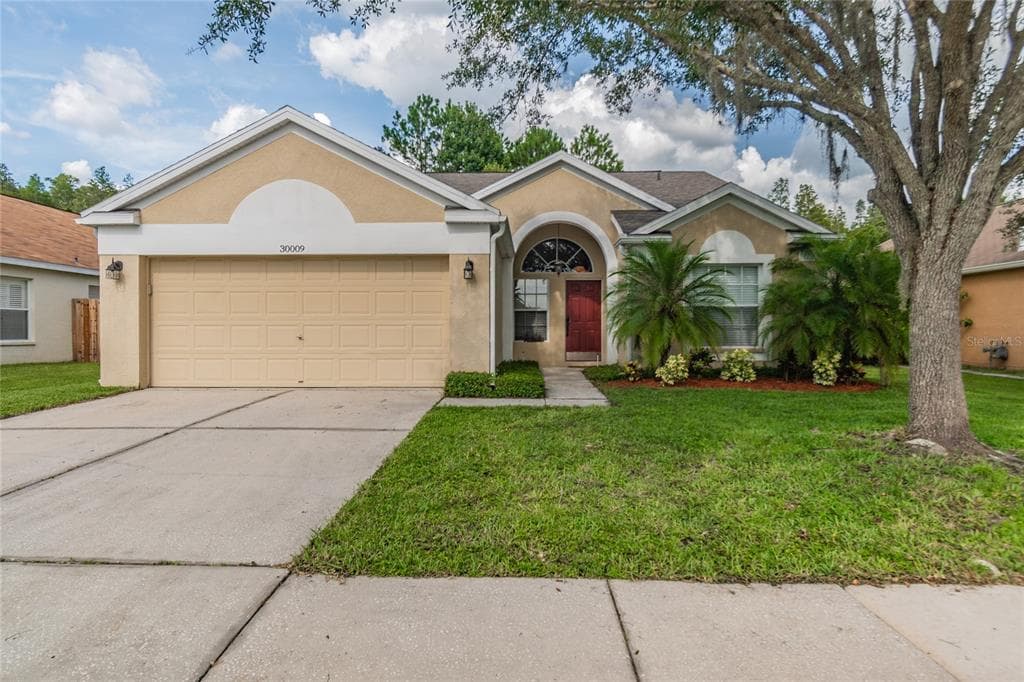 30009 MORNINGMIST DRIVE WESLEY CHAPEL, FL 33543