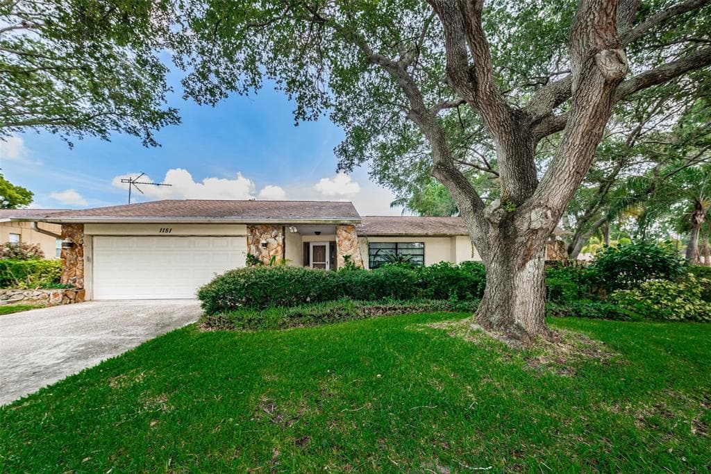1151 LEMON TREE LANE PALM HARBOR, FL 34683