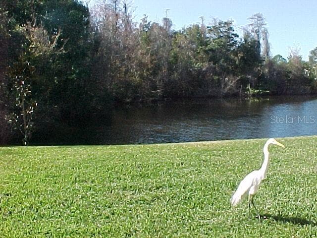 321 WOODLAKE WYNDE UNIT 3 OLDSMAR, FL 34677
