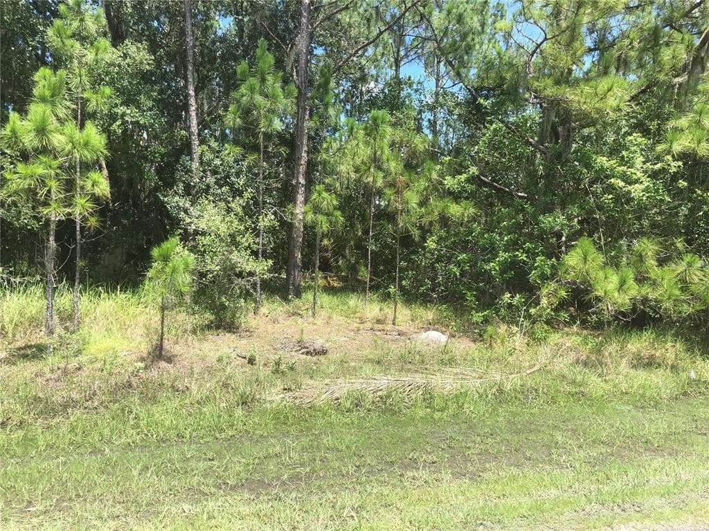 Blk201 L21 POINCIANA DRIVE INDIAN LAKE ESTATES, FL 33855