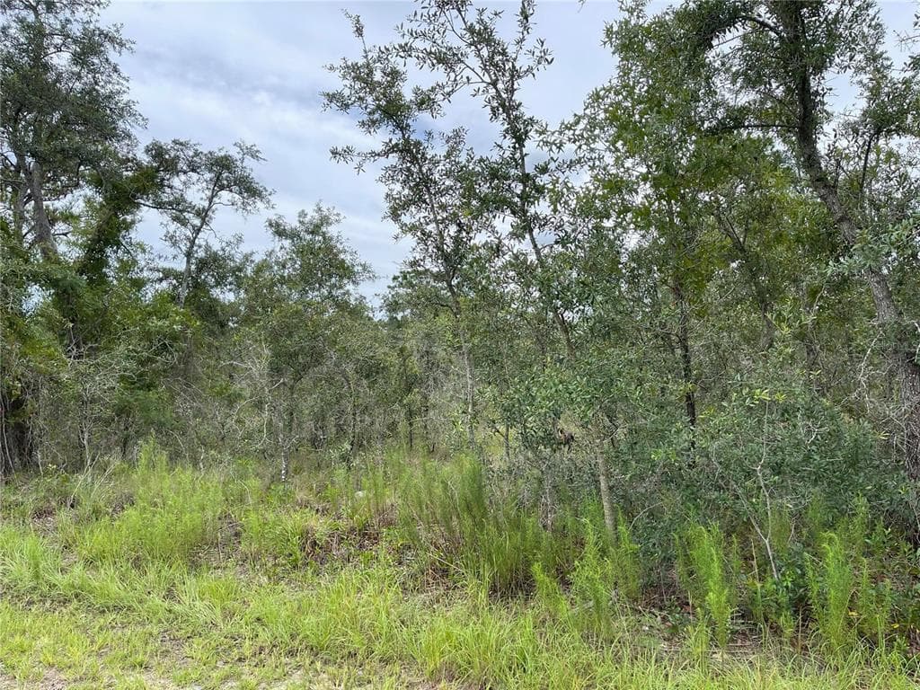11455 OLD SQUAW AVENUE WEEKI WACHEE, FL 34614