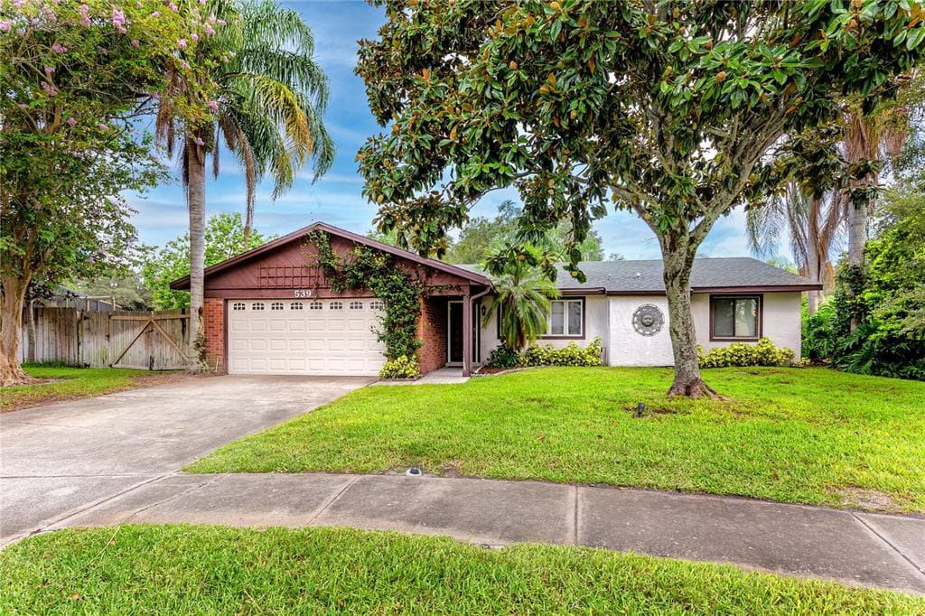 539 HAMMOCK DRIVE PALM HARBOR, FL 34683