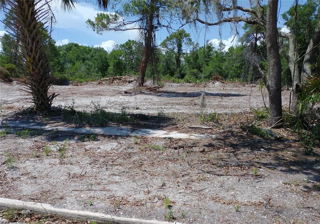 2508 GOLDWYN DRIVE RUSKIN, FL 33570