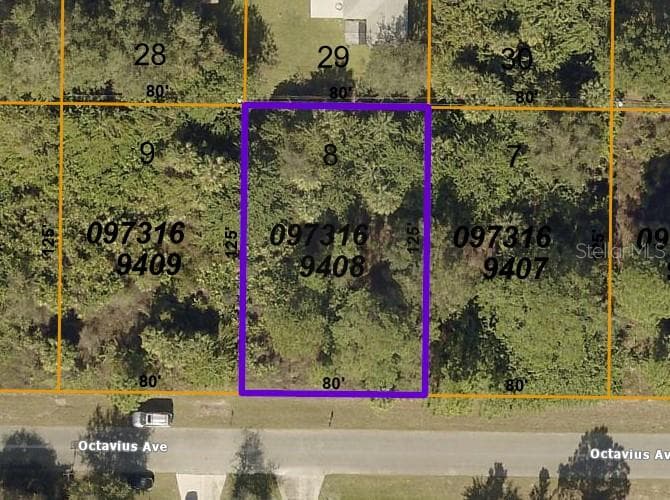 OCTAVIUS AVENUE NORTH PORT, FL 34287