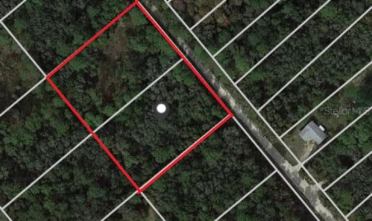 7263 & 7283 NORTHWEST AVENUE WEBSTER, FL 33597
