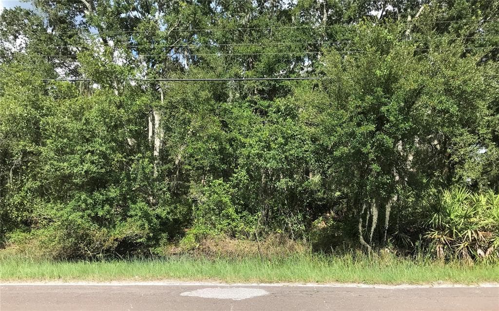 6102 N DORMANY ROAD PLANT CITY, FL 33565