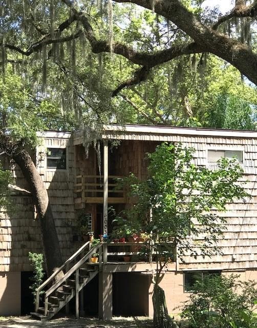 2003 E MULBERRY DRIVE TAMPA, FL 33604