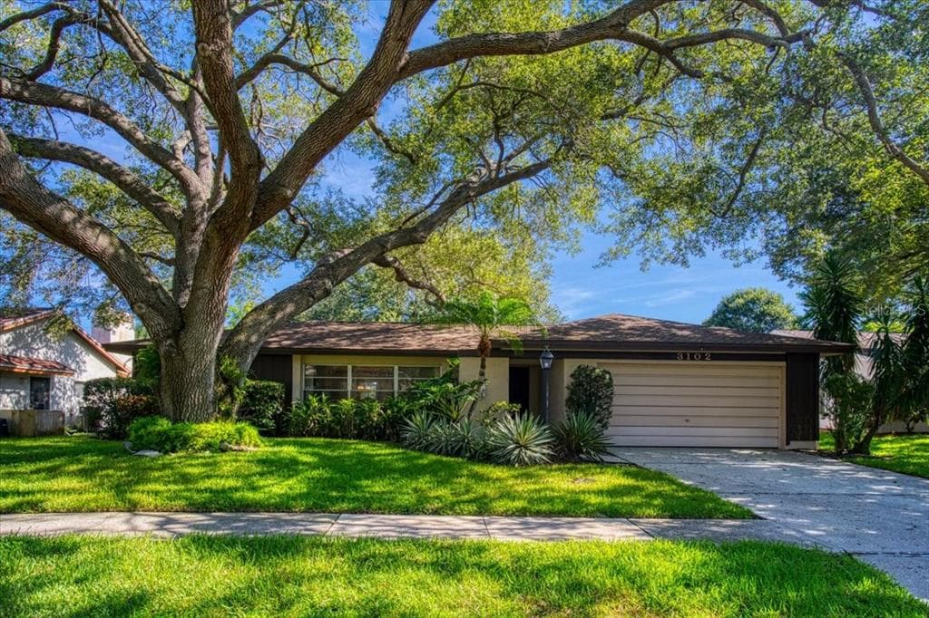 3102 BLUE HERON STREET SAFETY HARBOR, FL 34695