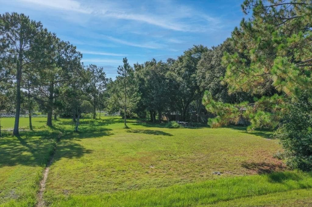 THUNDERHEAD STREET WESLEY CHAPEL, FL 33544