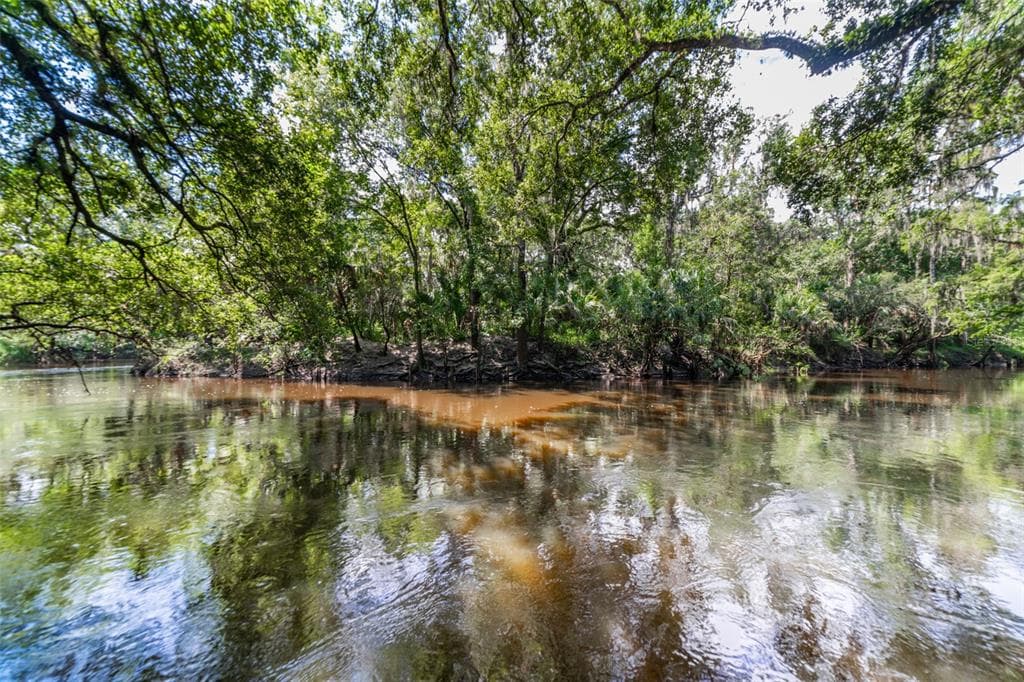 4508 SQUIRRELL RUN WAY VALRICO, FL 33596