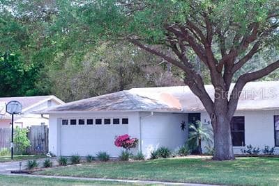 15905 CRYING WIND DRIVE TAMPA, FL 33624