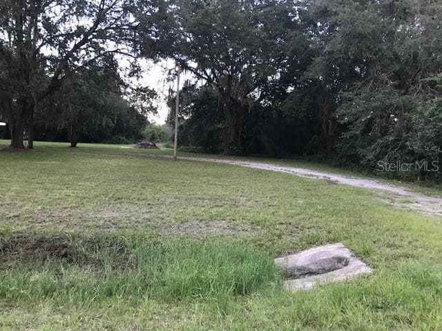 6666 N DORMANY ROAD PLANT CITY, FL 33565