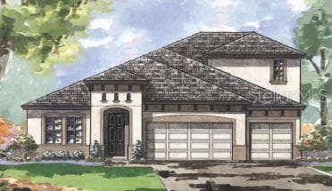 13031 WILDFLOWER MEADOW DRIVE RIVERVIEW, FL 33579